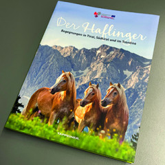 The Haflinger - Encounters in Tyrol, South Tyrol and Trentino 1