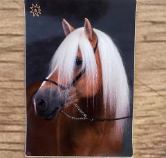 Aufkleber Stainz 1